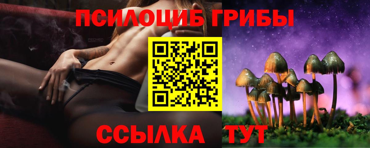 Галлюциногенные грибы Cubensis  Галлюциногенные грибы мицелий  Вход с VPN  Пугачёв 